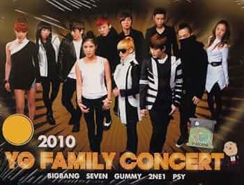 DVD『2012 YG Family Conce ～ 』BIGBANG 2NE1 2012 YG Family Concert in Japan - generasia